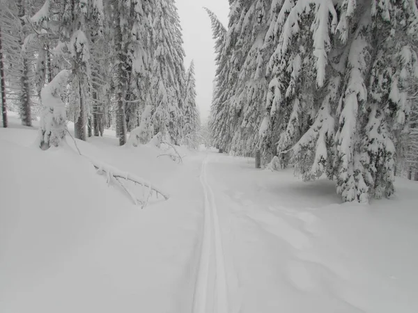 Vackra Vinter Lanscape Äventyr Skitouring Alperna — Stockfoto