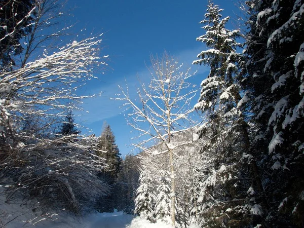 Bonito inverno lanscape skitouring nos alpes — Fotografia de Stock