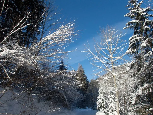 Bonito inverno lanscape skitouring nos alpes — Fotografia de Stock