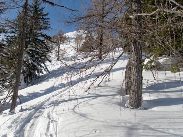 Musim Dingin Yang Indah Lanscape Petualangan Skitouring Alpen — Stok Foto