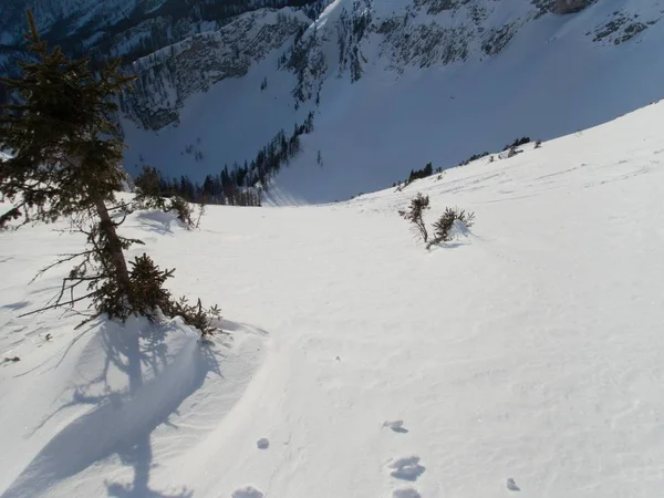 Bela Aventura Lanscape Inverno Skitouring Nos Alpes — Fotografia de Stock
