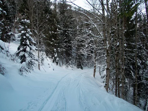 美丽的冬季兰斯凯普冒险在阿尔卑斯山滑行 — 图库照片