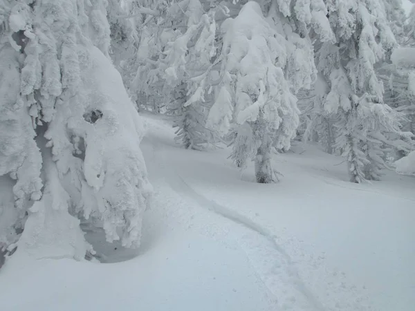 Beau Paysage Hivernal Aventure Skitouring Dans Les Alpes — Photo