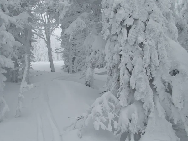 Bela Aventura Lanscape Inverno Skitouring Nos Alpes — Fotografia de Stock