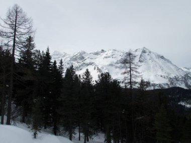 skitouring macera enzingerboden stubachtal içinde gelen Avusturya Alpleri'nde granastpitzgruppe dağlarda kış