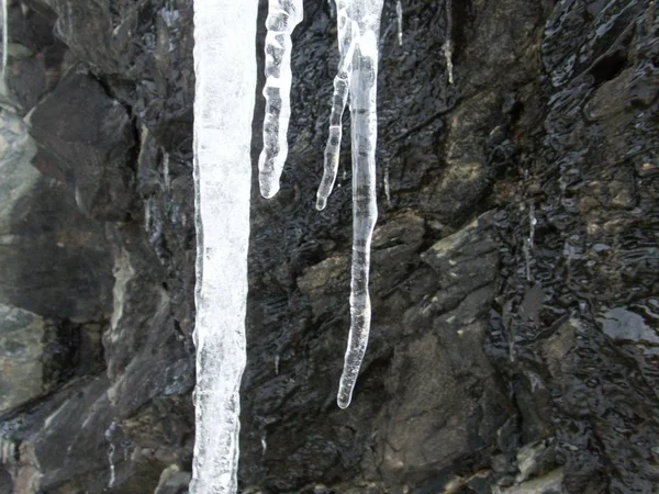 Icicles congelados em formas bonitas — Fotografia de Stock