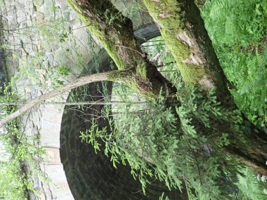 checz cumhuriyeti Bohemya dağlık vahşi Doubrava nehir güzel vadi