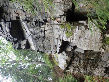 checz cumhuriyeti Bohemya dağlık vahşi Doubrava nehir güzel vadi