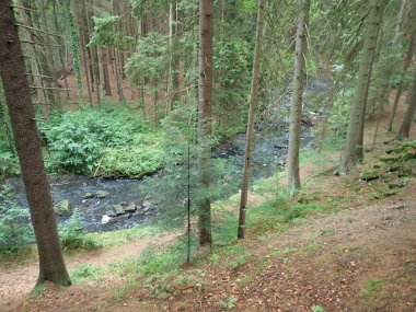 checz cumhuriyeti Bohemya dağlık vahşi Doubrava nehir güzel vadi