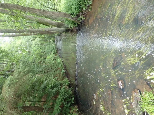 Belle vallée de la rivière sauvage Doubrava dans les hauts plateaux de Bohême en République de checz — Photo