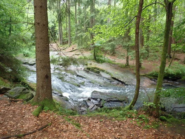 Hermoso valle del río Doubrava salvaje en las tierras altas de Bohemia en República Checz —  Fotos de Stock