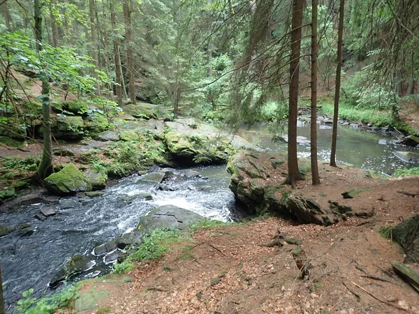 Belle vallée de la rivière sauvage Doubrava dans les hauts plateaux de Bohême en République de checz — Photo