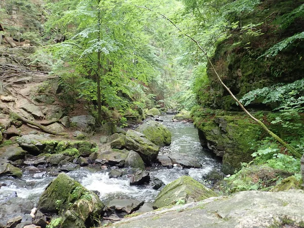 Hermoso valle del río Doubrava salvaje en las tierras altas de Bohemia en República Checz — Foto de Stock