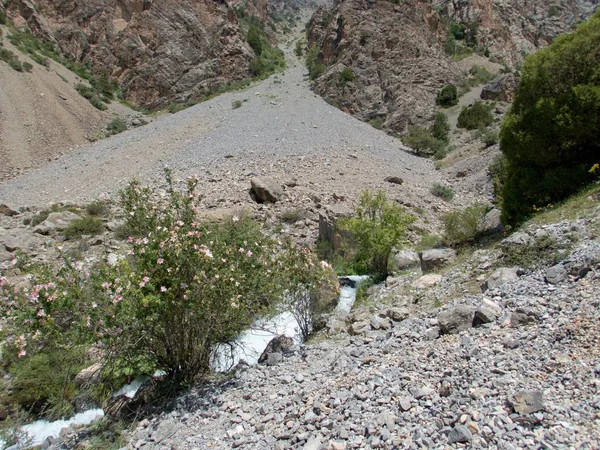 Belle randonnée dans les montagnes de fann nature au tadjikistan — Photo