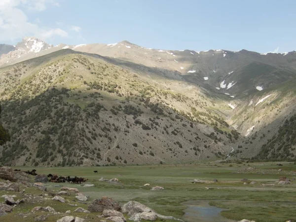 美丽的徒步旅行在范山自然在塔吉克斯坦 — 图库照片