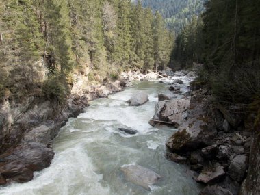 taşlı vahşi dağ deresi