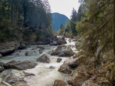 taşlı vahşi dağ deresi