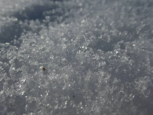 El detalle de la textura de nieve en las montañas —  Fotos de Stock