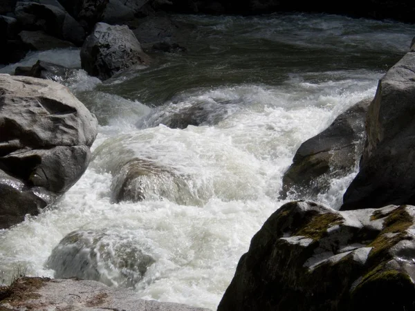 Ruisseau sauvage de montagne avec des pierres — Photo