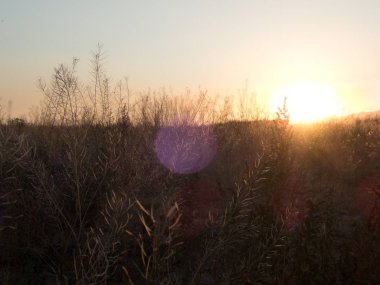 bir nehir watter üzerinde güzel gün batımı