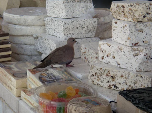 Taube auf einem Markt mit Süßigkeiten stehlen — Stockfoto