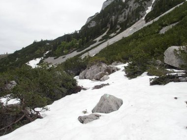 gousaukamm dachsteingebirge güzel doğa yürüyüş