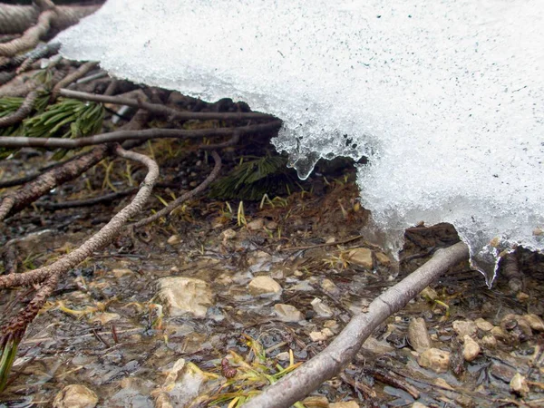 Piękna natura turystyka w gousaukamm dachsteingebirge — Zdjęcie stockowe