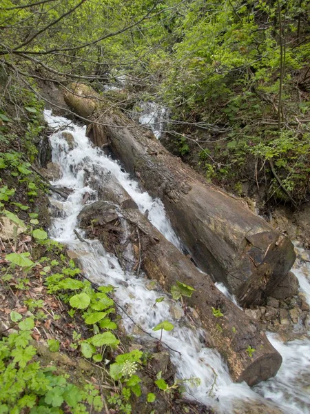 Schöne naturwanderungen im gousaukamm dachsteingebirge — Stockfoto