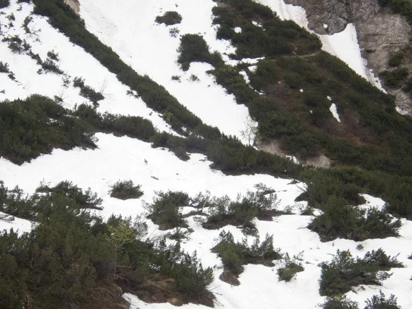 Hermosa naturaleza senderismo en gousaukamm dachsteingebirge — Foto de Stock