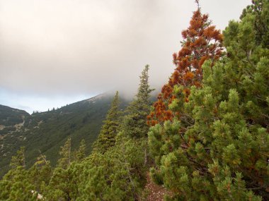 avusturya'da brandenburger alpen sonbahar yürüyüş ve dağcılık