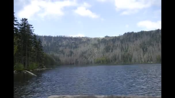 Piękne Jezioro Parku Naturalnym Południowych Czechach Sumava — Wideo stockowe