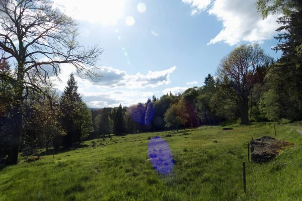 Hermoso Paisaje Natural Verde Sumava Parque Nacional Czechia — Foto de Stock