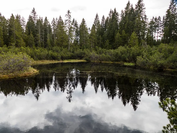 Красивое Озеро Природном Парке Сумава Чехии — стоковое фото