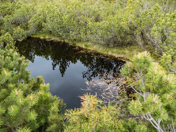 Hermoso Lago Sumava Parque Natural Chequia — Foto de Stock