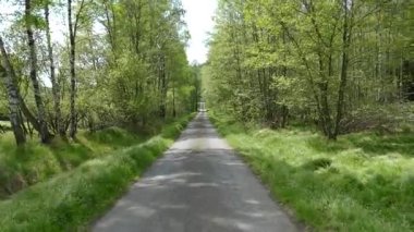 southern bohemia natural park sumava
