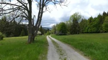 southern bohemia natural park sumava