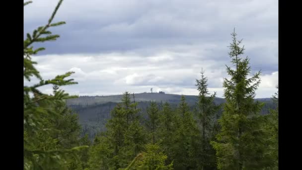 Torre Cima Montaña Polednik Parque Natural Sumava Checa — Vídeos de Stock