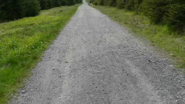 Tower Top Polednik Mountain Czech Sumava Natural Park — Wideo stockowe