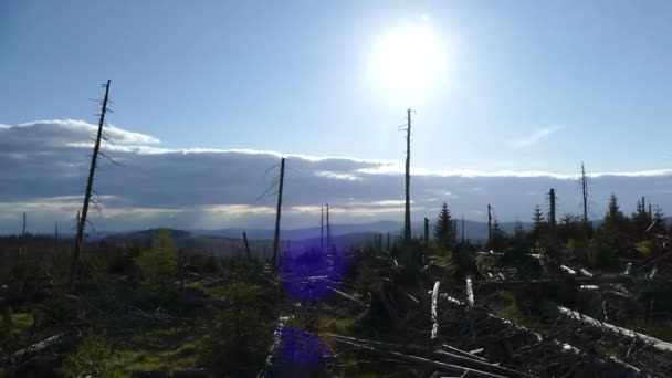 Tower Top Polednik Mountain Czech Sumava Natural Park — kuvapankkivideo