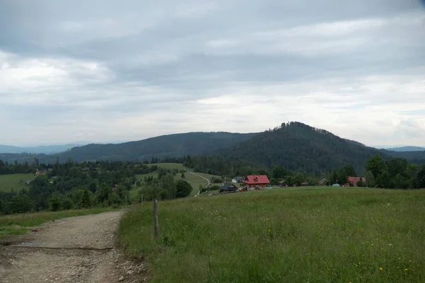 Літній Красивий Природний Пейзаж Східній Богемії Чехії Republi — стокове фото