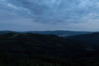 Bulutlu bir gecede bulutlu bir orman.