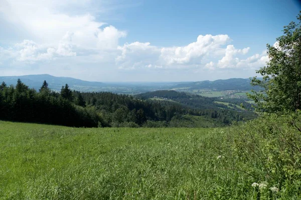 Zomer Prachtige Natuur Landschap Beskydy Oost Bohemen Tsjechisch Republi — Stockfoto