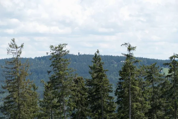 Sommer Schöne Naturlandschaft Himmelblau Ostböhmen Tschechischen Republi — Stockfoto