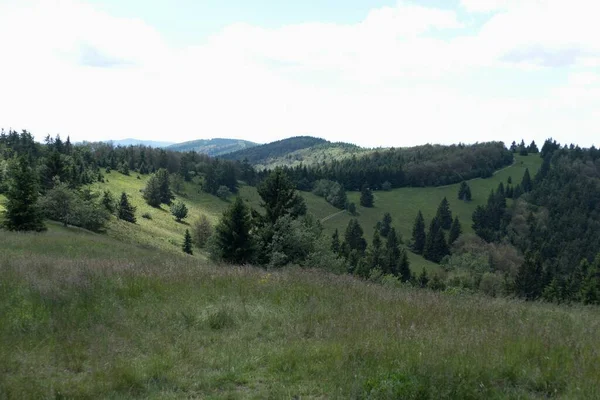 Été Beau Paysage Naturel Beskydy Bohème Orientale Tchèque Republi — Photo