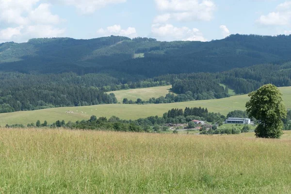 Lato Piękne Krajobraz Przyrody Beskydy Czechach Wschodnich Republi — Zdjęcie stockowe