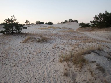 Kuzey Kutbu ve Baltık Sahili 'ndeki ünlü güzel Slowinsky Parkı narodowy kum tepesi