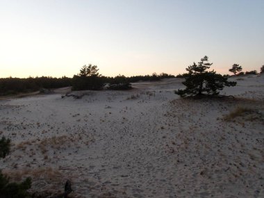 Kuzey Kutbu ve Baltık Sahili 'ndeki ünlü güzel Slowinsky Parkı narodowy kum tepesi