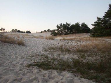 Kuzey Kutbu ve Baltık Sahili 'ndeki ünlü güzel Slowinsky Parkı narodowy kum tepesi