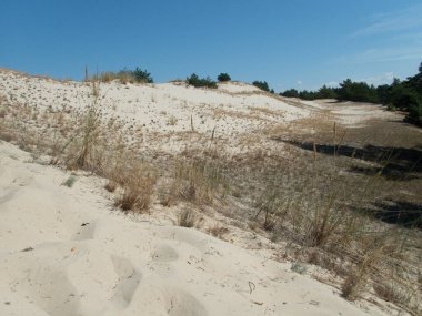 Kuzey Kutbu ve Baltık Sahili 'ndeki ünlü güzel Slowinsky Parkı narodowy kum tepesi