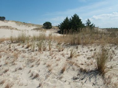 Kuzey Kutbu ve Baltık Sahili 'ndeki ünlü güzel Slowinsky Parkı narodowy kum tepesi